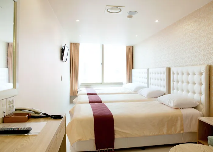 Cozy Myeongdong Hotel 3*